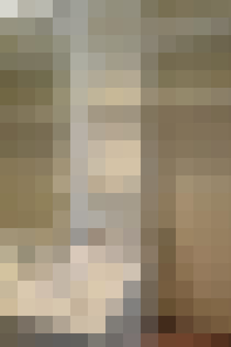  / #11