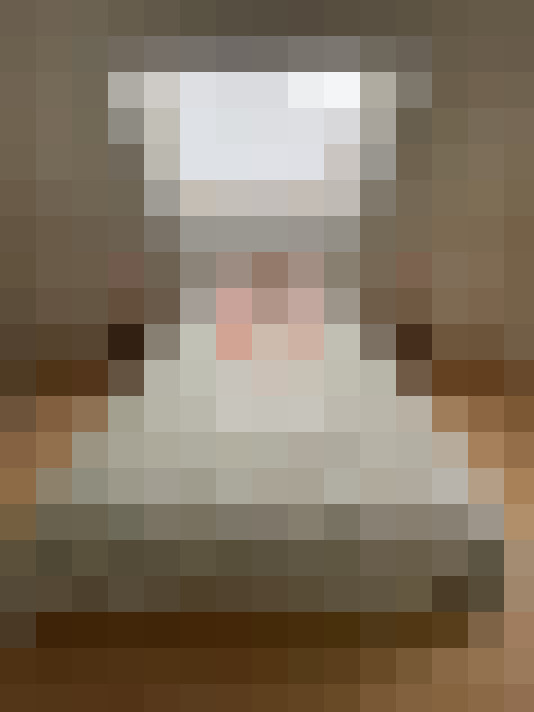  / #11