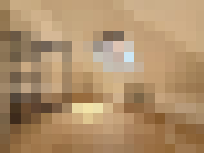  / #6