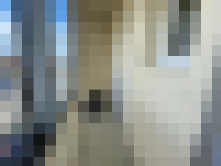  / #8
