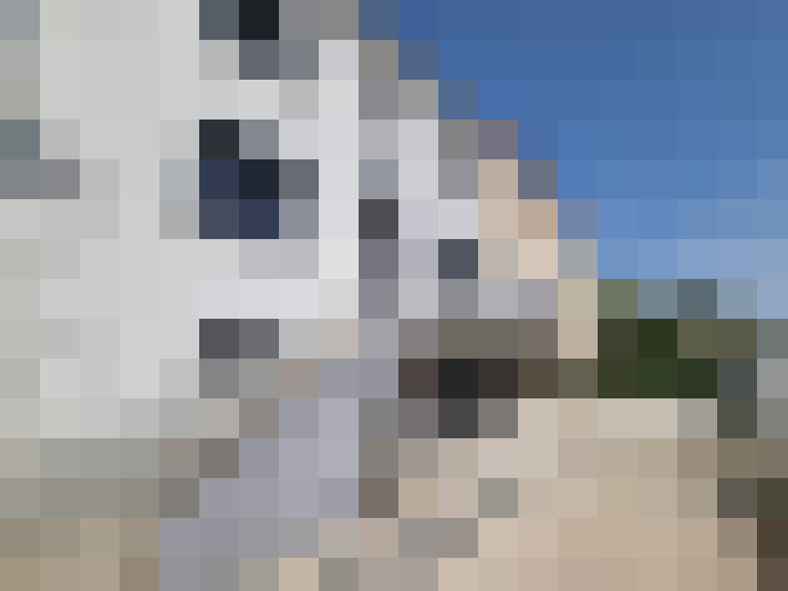  / #14