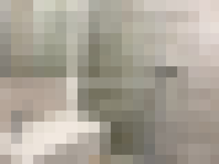  / #20
