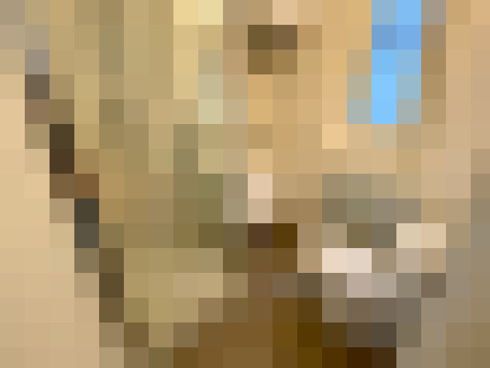  / #7