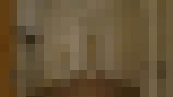  / #4