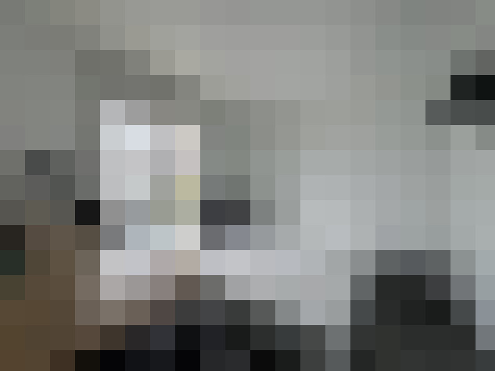  / #15