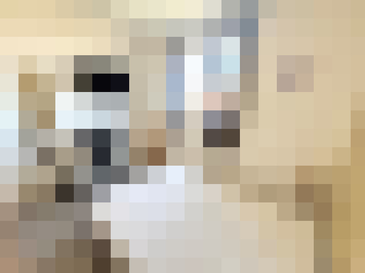  / #12