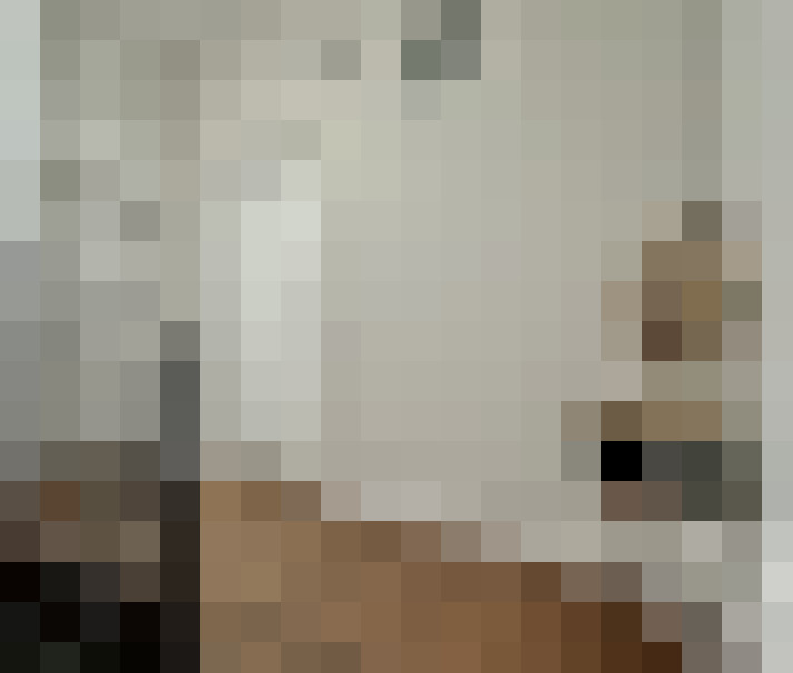  / #12