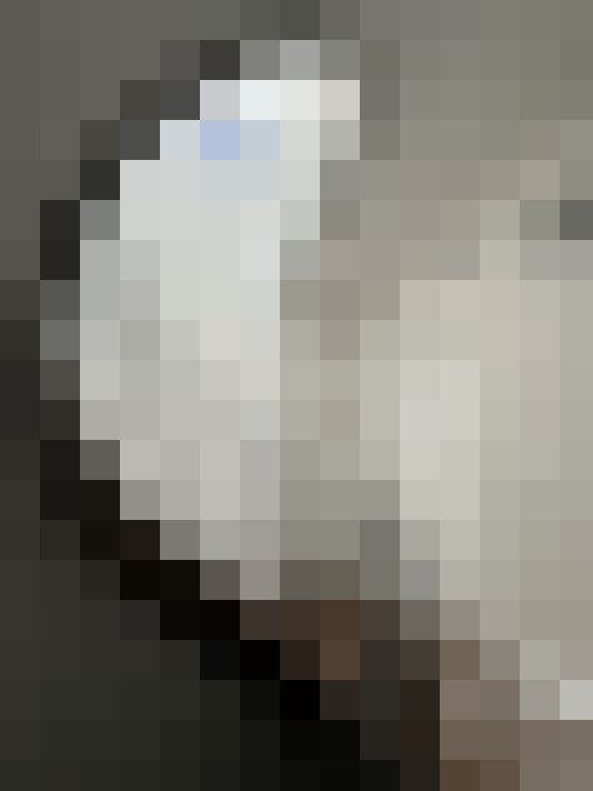  / #13