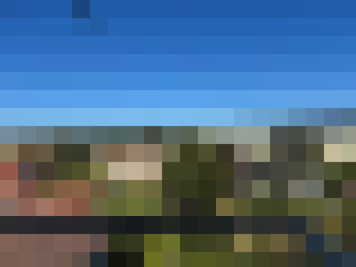  / #11