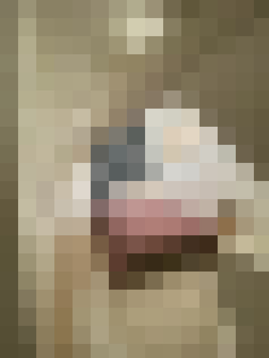  / #2