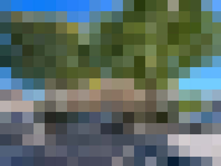  / #15