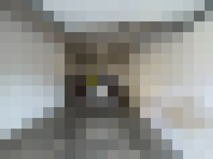 / #14
