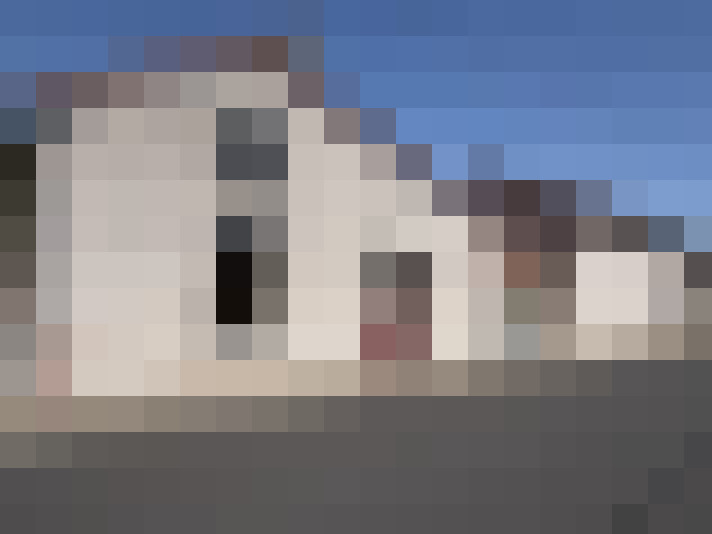  / #11