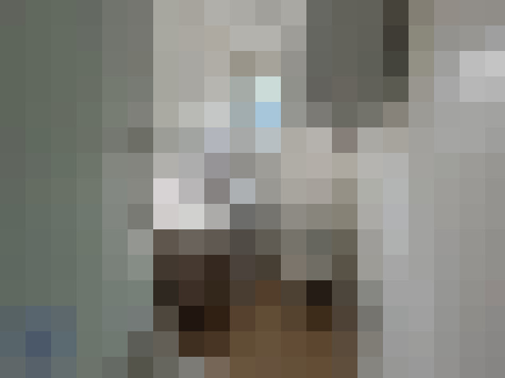  / #6