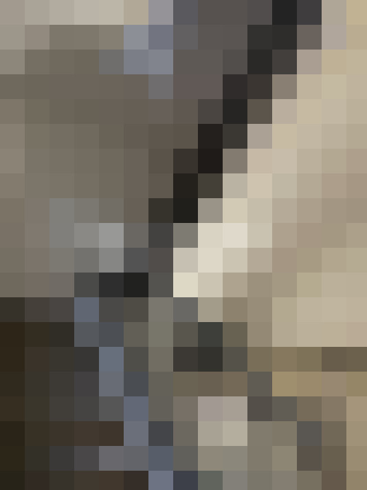  / #8