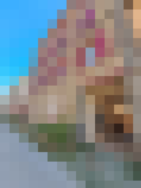  / #5