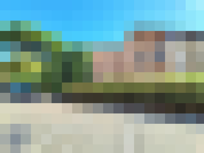  / #6