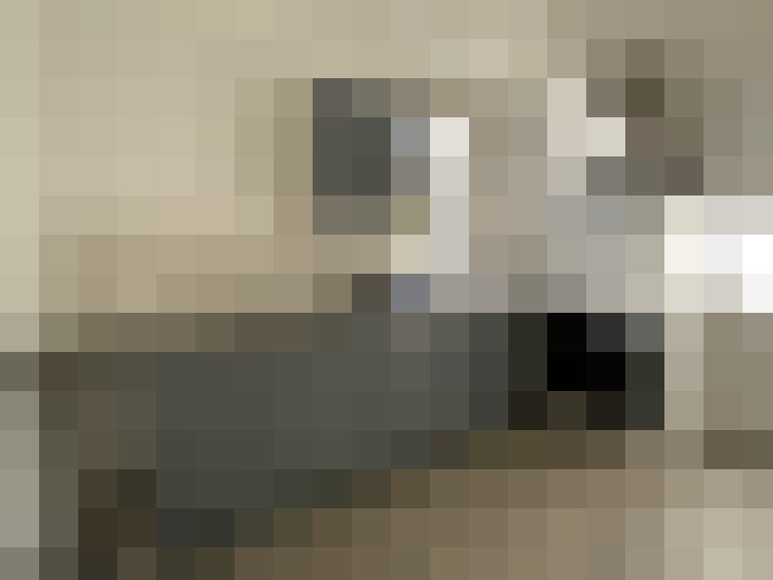  / #9