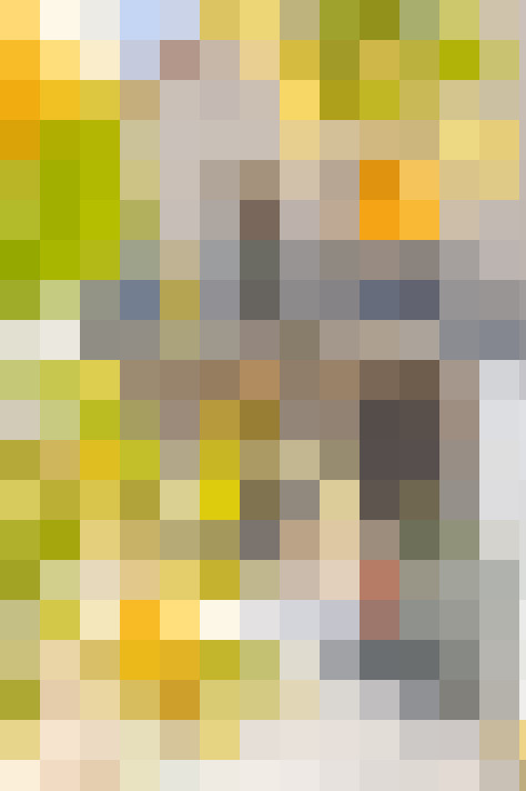  / #13