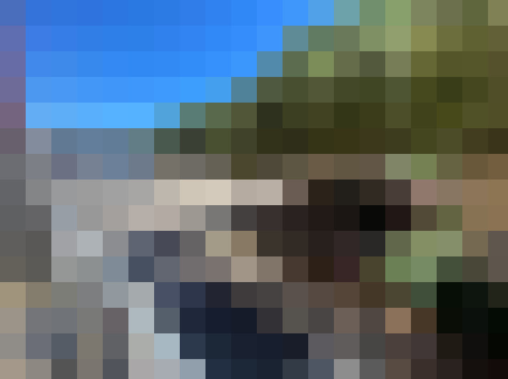  / #6