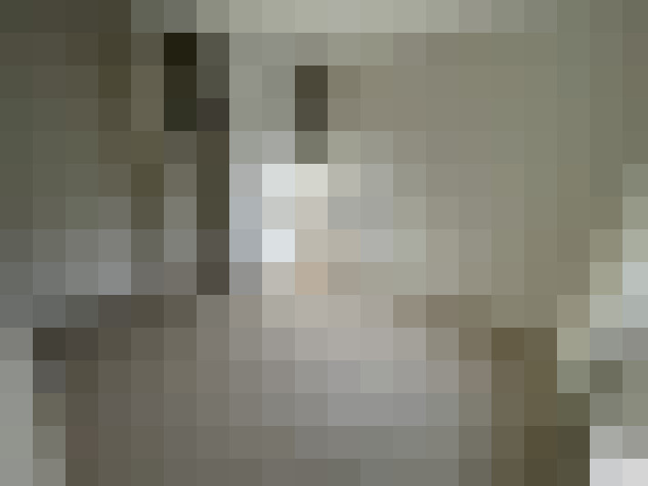  / #8