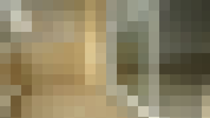  / #6