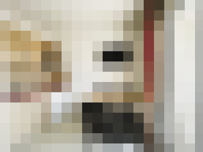  / #21