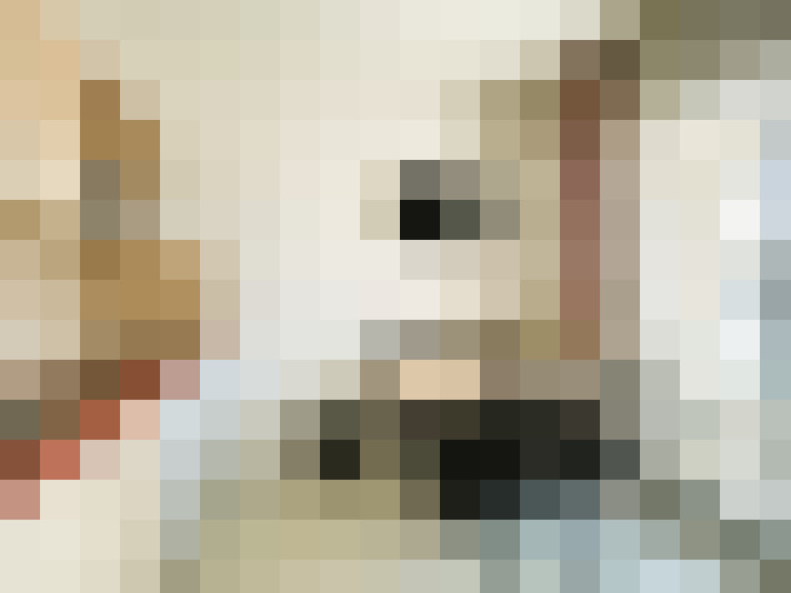  / #22