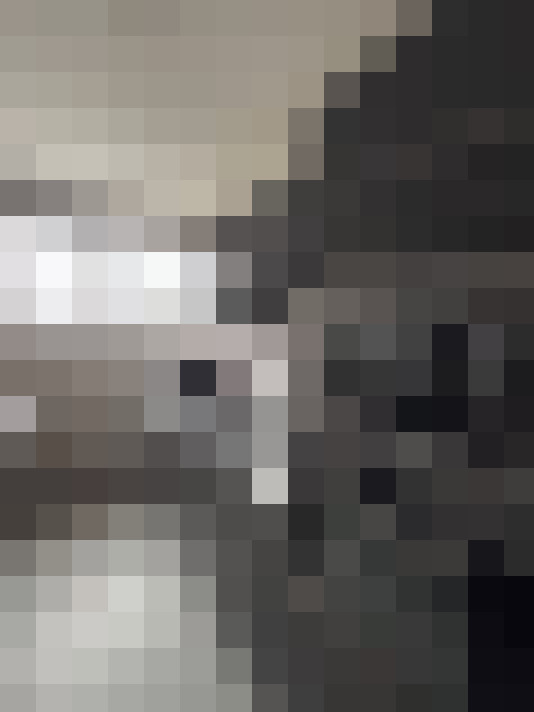  / #17