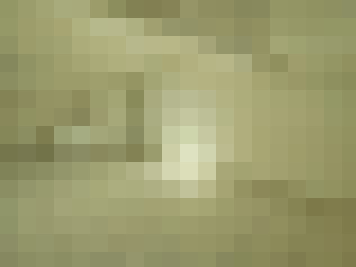  / #6