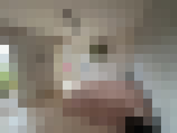  / #4