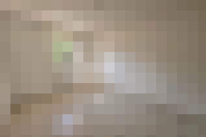  / #8