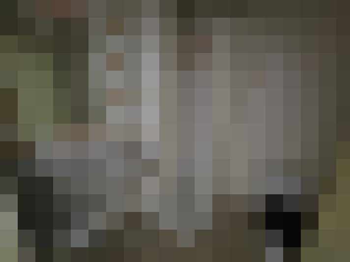  / #14