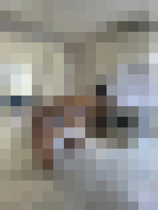  / #16