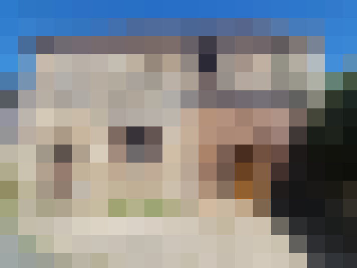  / #15