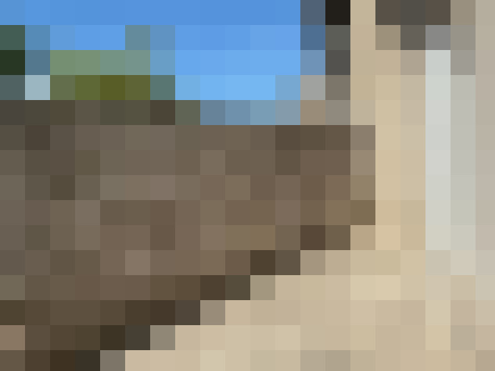  / #13