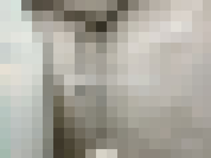  / #17
