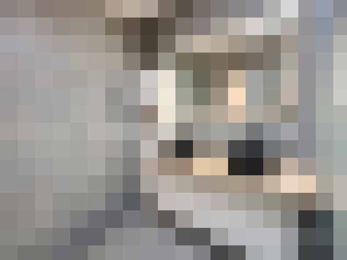  / #16