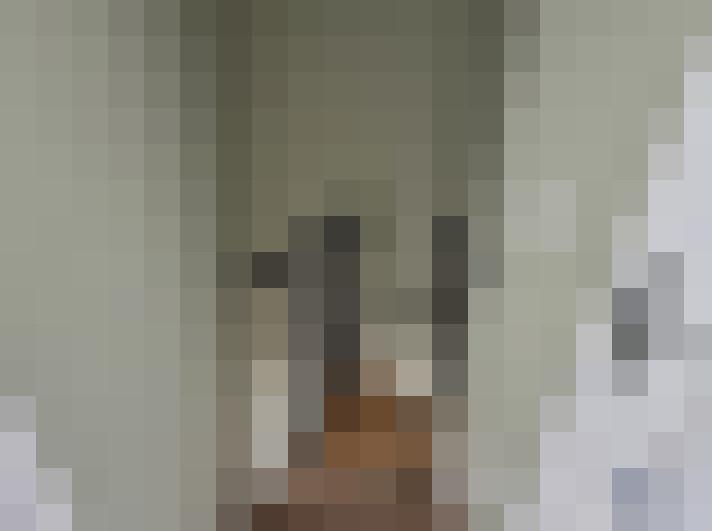  / #7