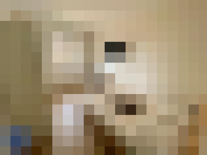  / #8