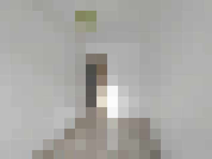  / #9