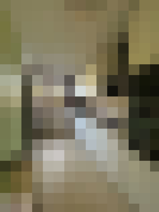  / #11
