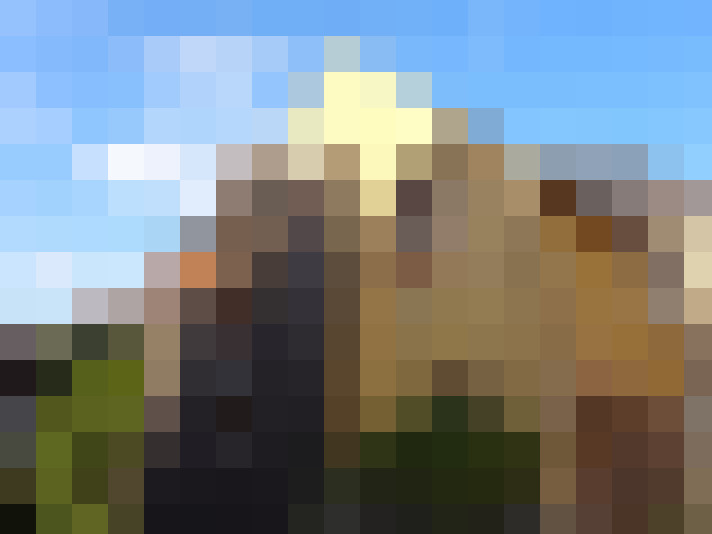  / #5