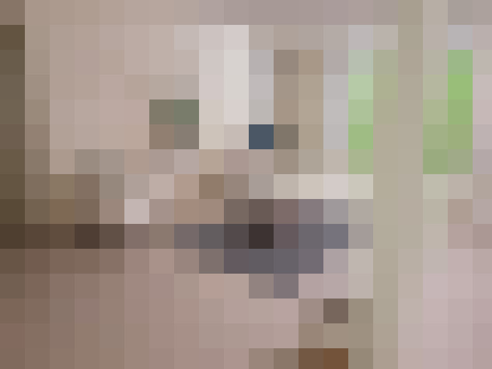  / #12