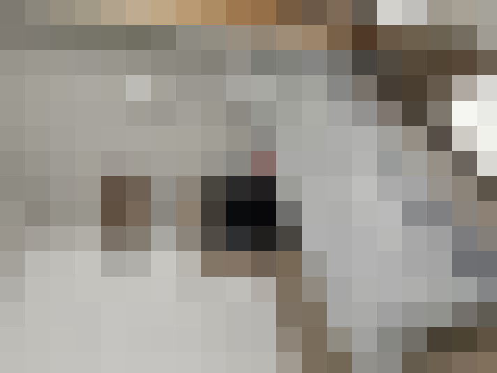  / #21