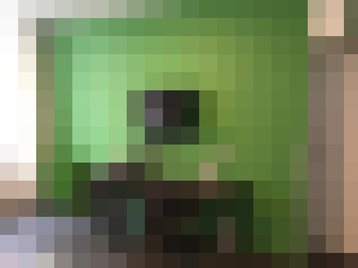  / #19