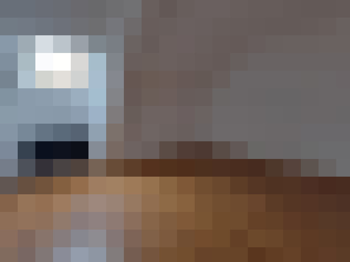  / #8