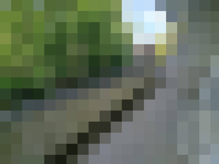  / #7