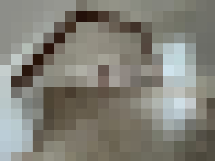  / #13