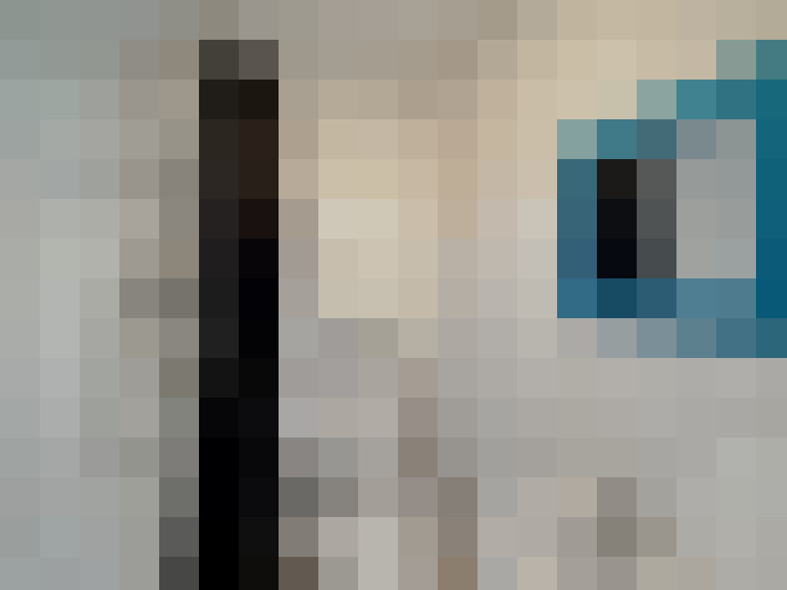  / #8